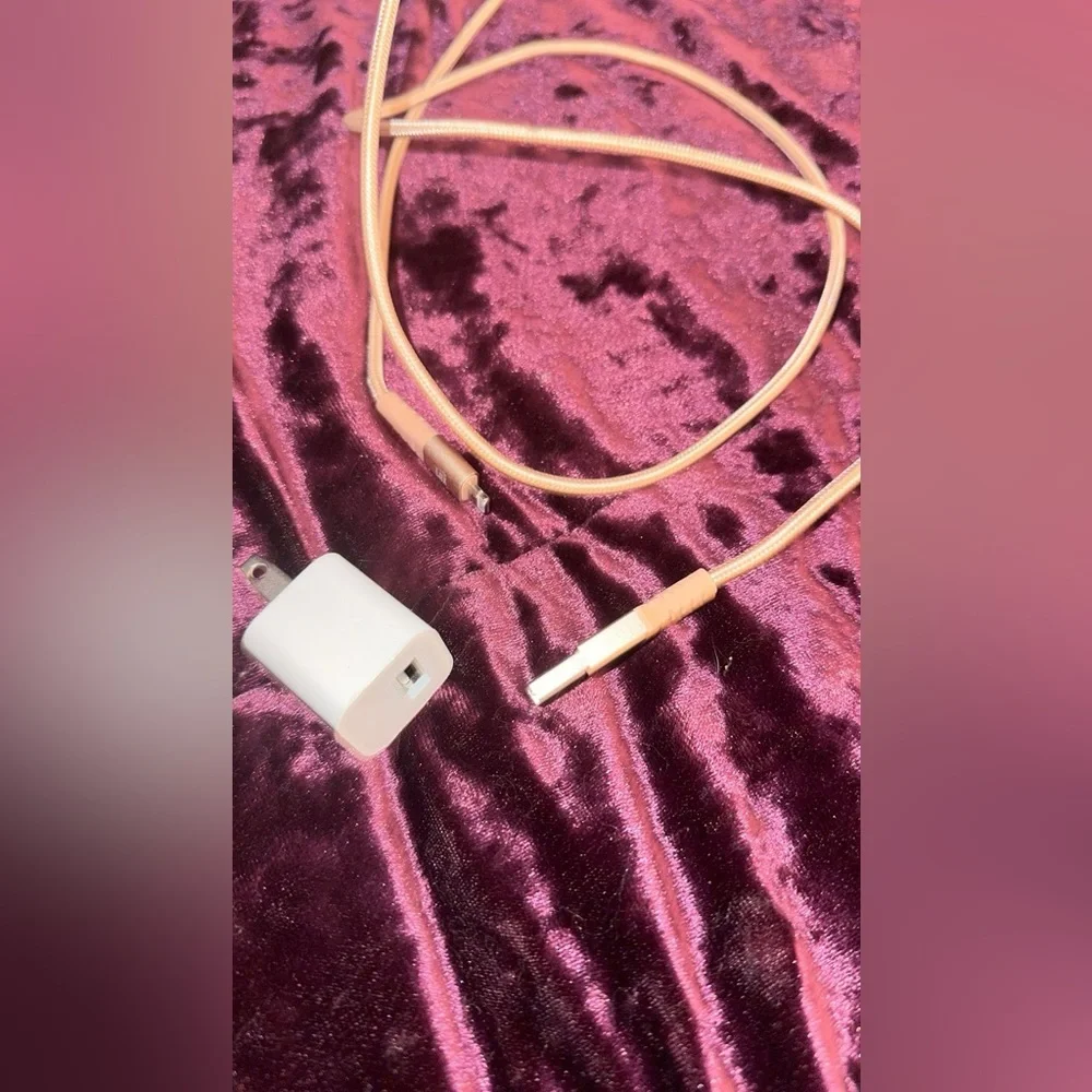 4 foot lightning charger